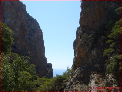 Die Arwi Schlucht oben