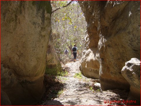 Down the Arwi gorge